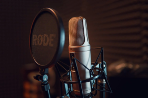 A studio condenser microphone with a pop filter in front of it, set up in a soundproof recording booth.